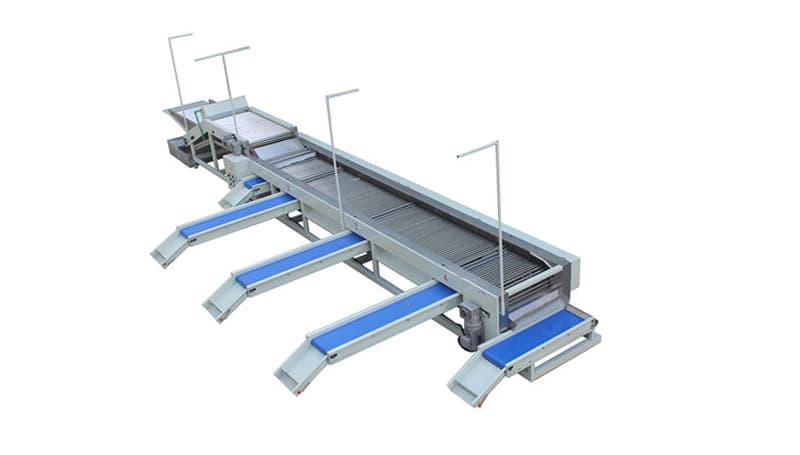 images/1747984080057cherry tomato grading machine.jpg